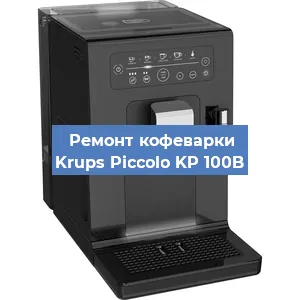 Декальцинация   кофемашины Krups Piccolo KP 100B в Нижнем Новгороде